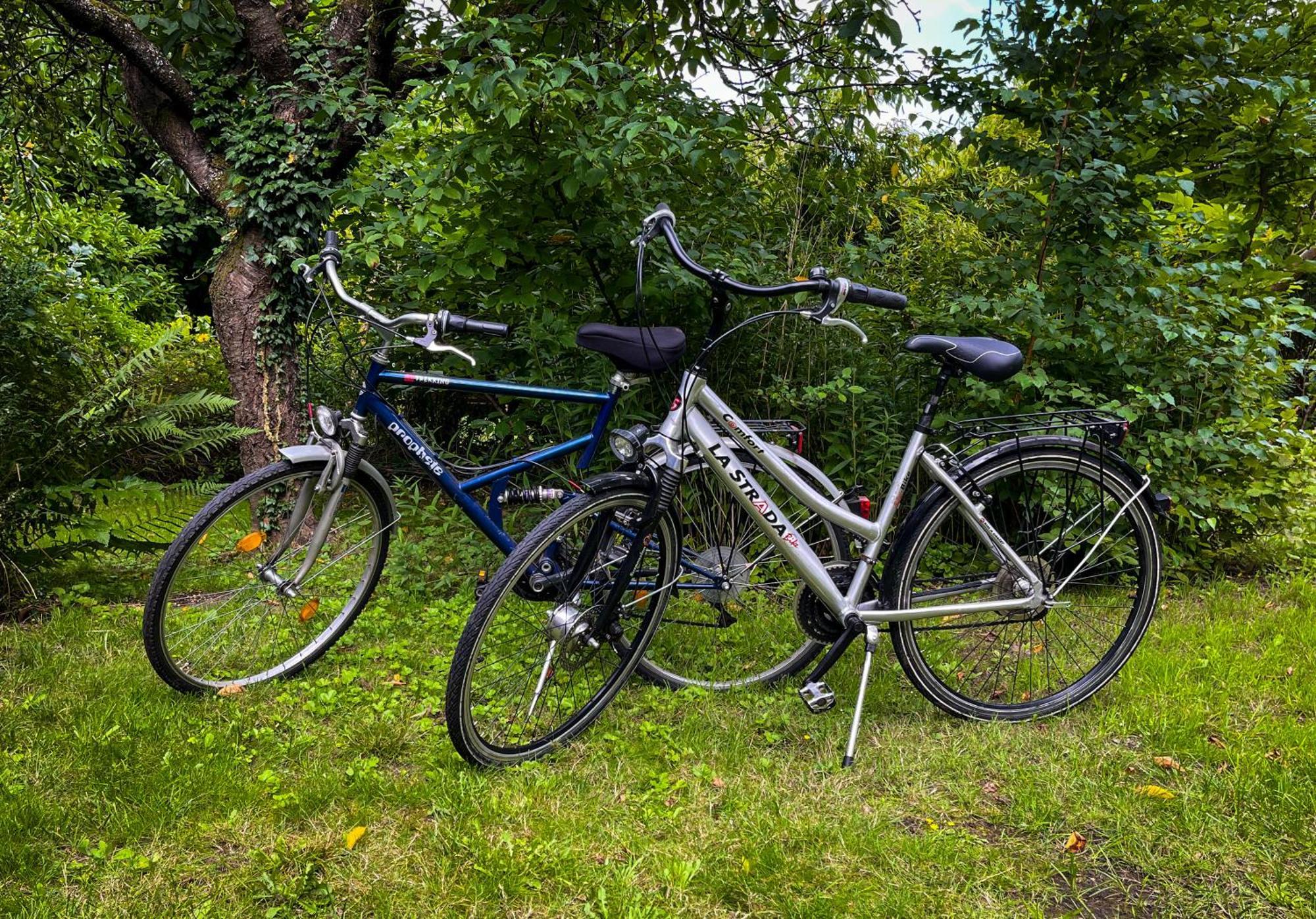 Ferienwohnung Hitzacker/Elbe Екстериор снимка